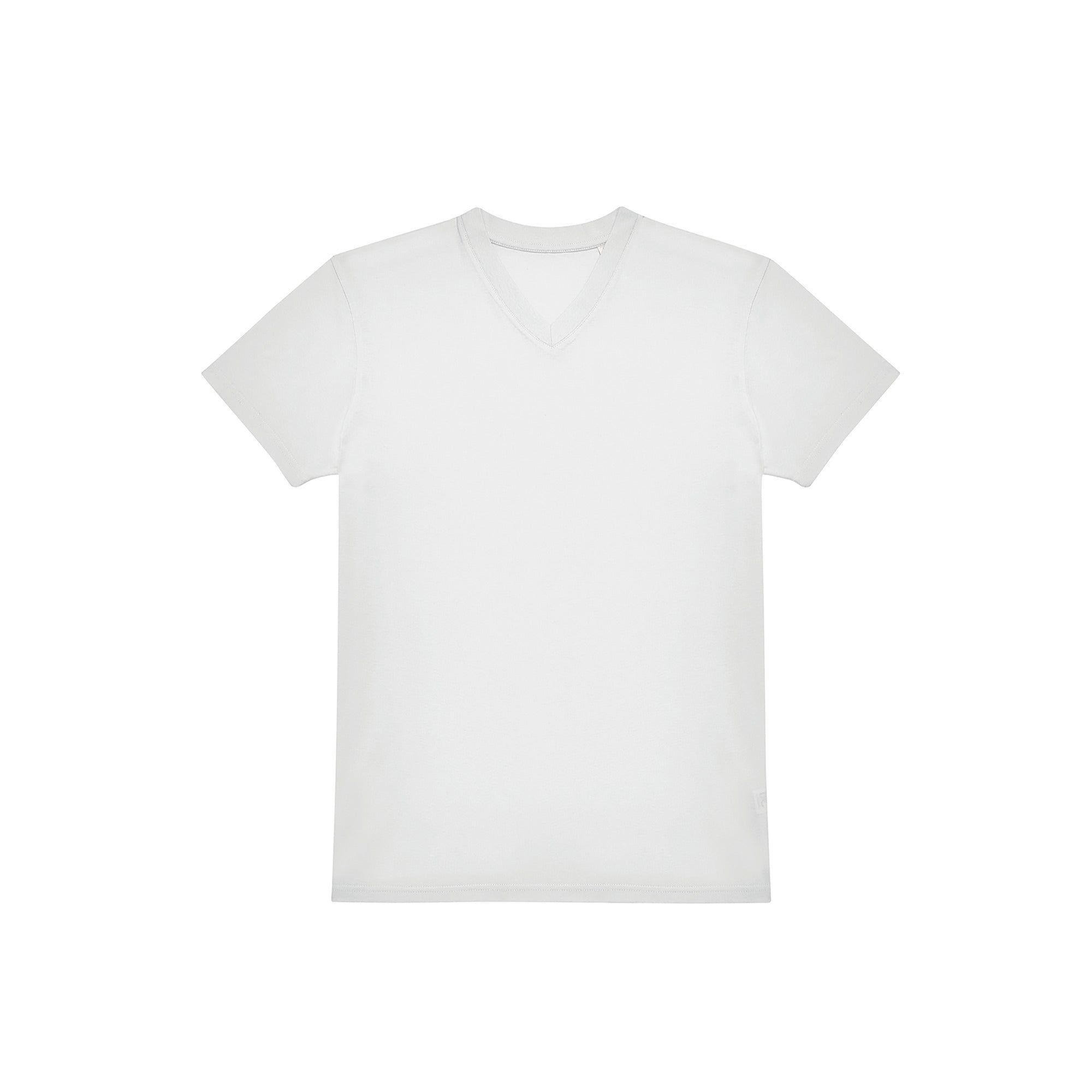 Men's V-neck T-shirt